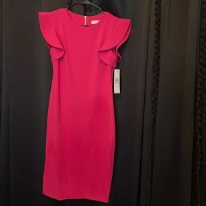 Hot pink Calvin Klein dress.